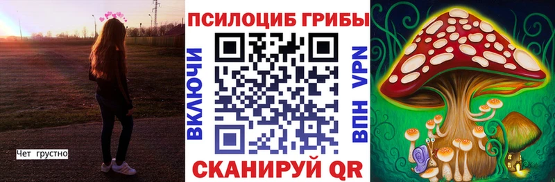наркошоп Любим ОМГ ОМГ tor Галлюциногенные грибы Psilocybine cubensis