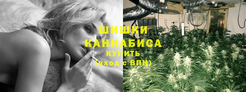 OMG   Любим  Каннабис THC 21%  что такое наркотик 